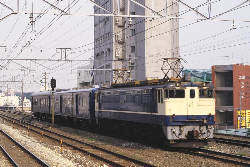 _D6C8341.jpg