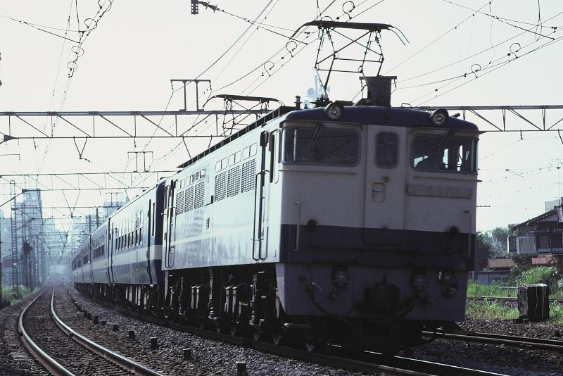 _D6C8368.jpg