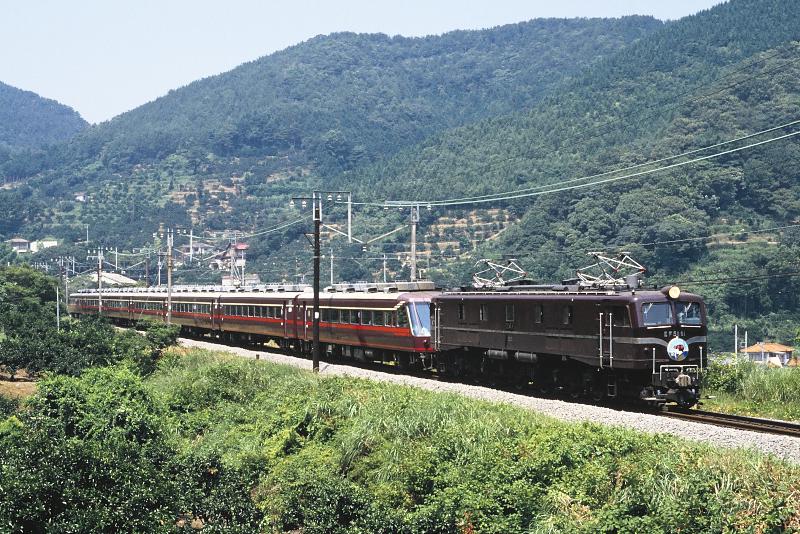 _D6C8445.jpg