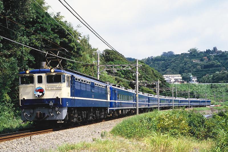 _D6C8456.jpg