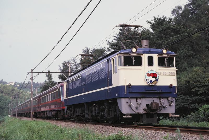 _D6C8473.jpg