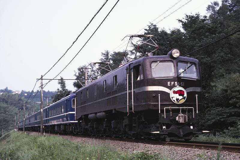 _D6C8476.jpg